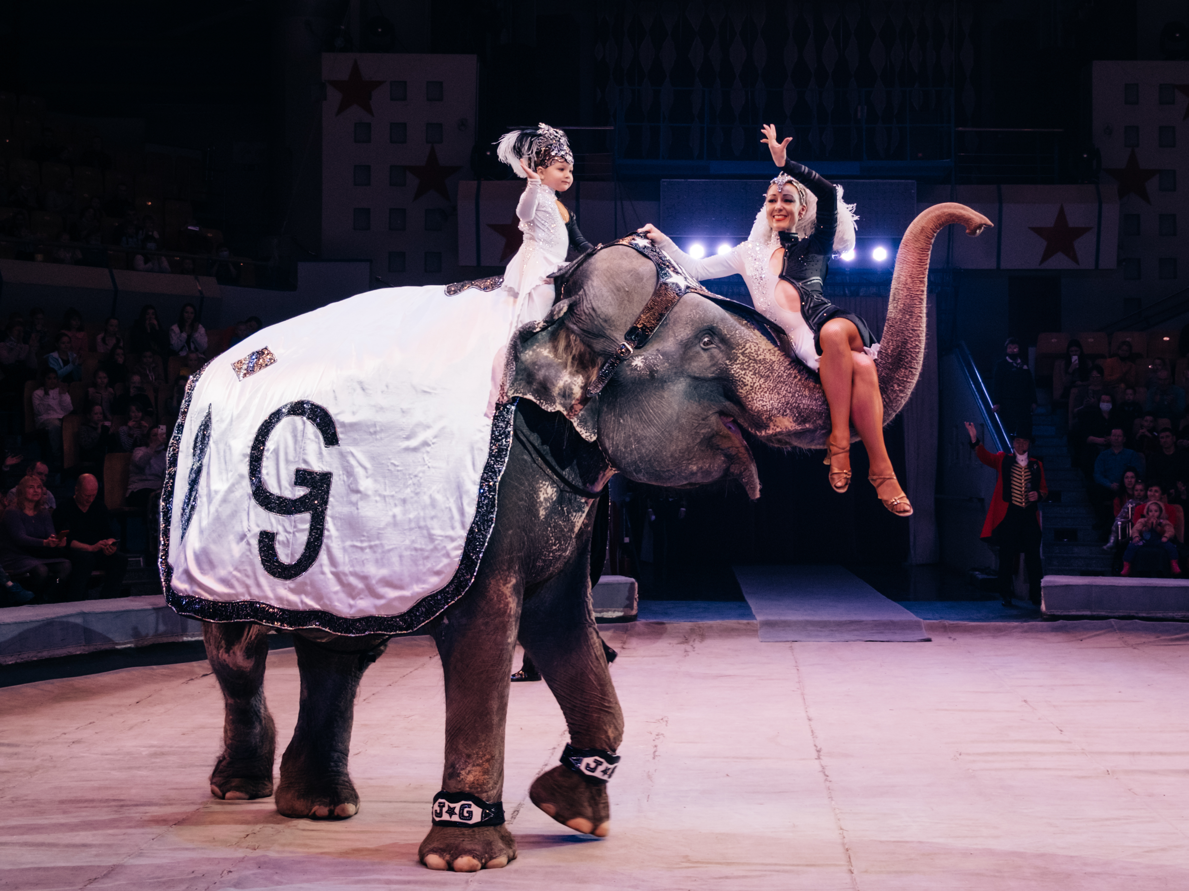 Цирк шоу слонов Гертнер