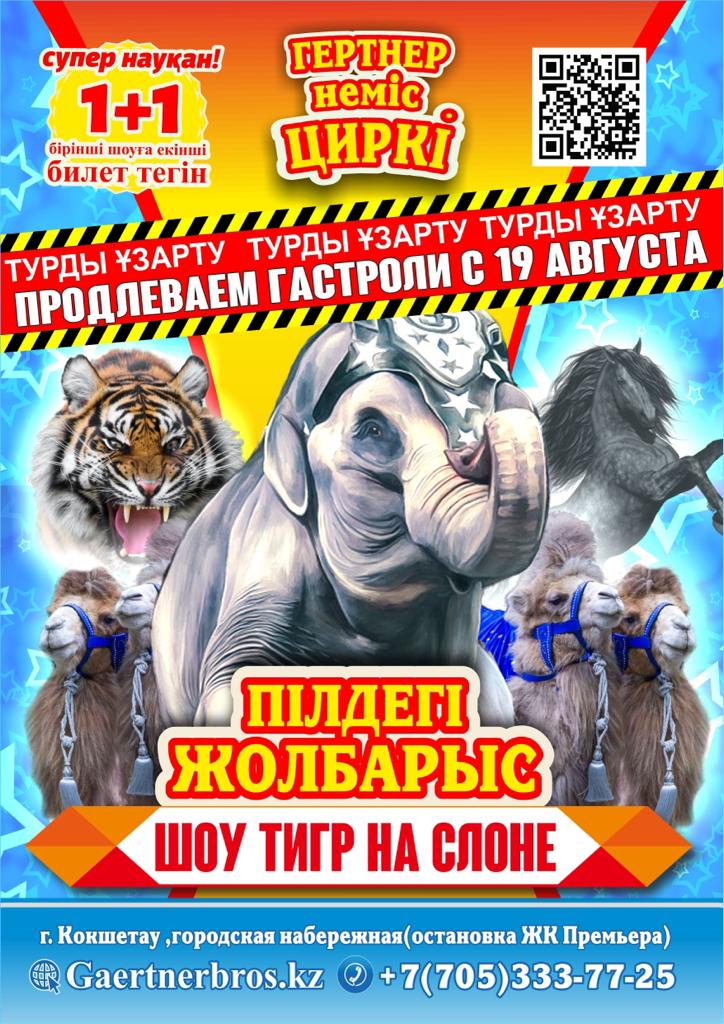Цирк Гертнер Кокшетау 2023. Шоу тигр на слоне