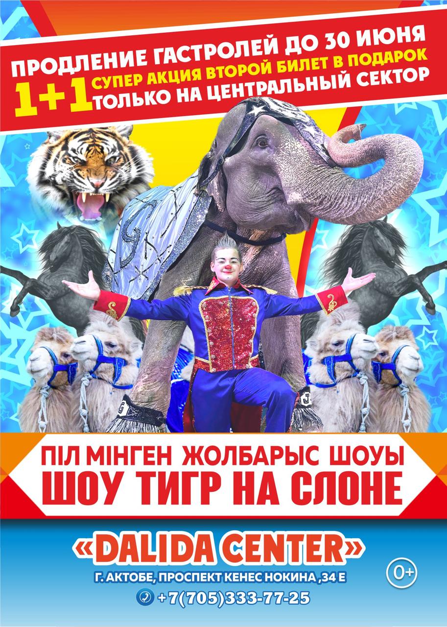 Цирк братьев Гертнер Актобе 2024